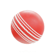 Cricket Games